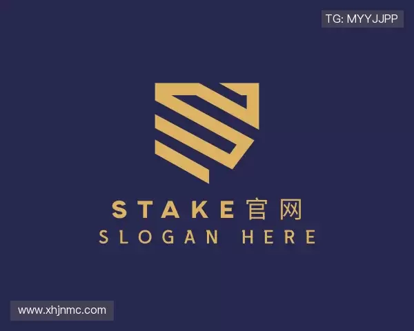 解读stake官网