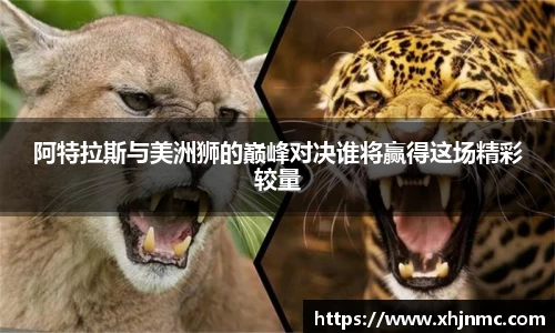 阿特拉斯与美洲狮的巅峰对决谁将赢得这场精彩较量